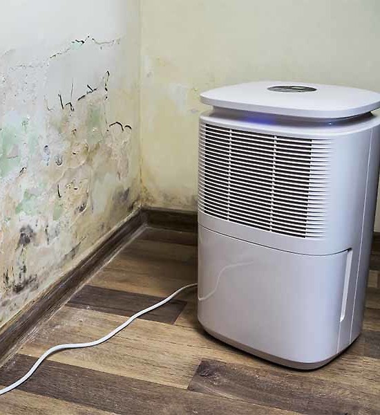 dehumidifier for mold prevention